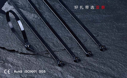 不鏽鋼嵌片尼龍紮帶（船（chuán）用）